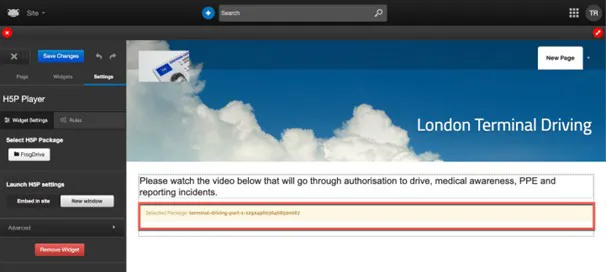 H5P Player Widget 21.webp