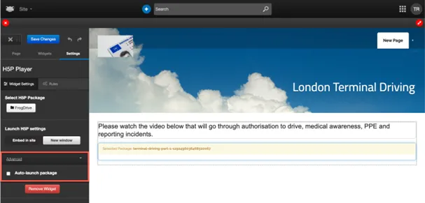 H5P Player Widget 23.webp